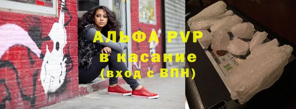 сатива Баксан