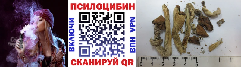 Псилоцибиновые грибы Cubensis наркошоп гидра ТОР Кедровый