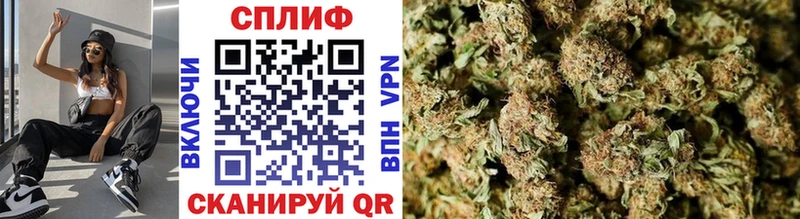 Бошки марихуана VHQ  darknet какой сайт  Кедровый 
